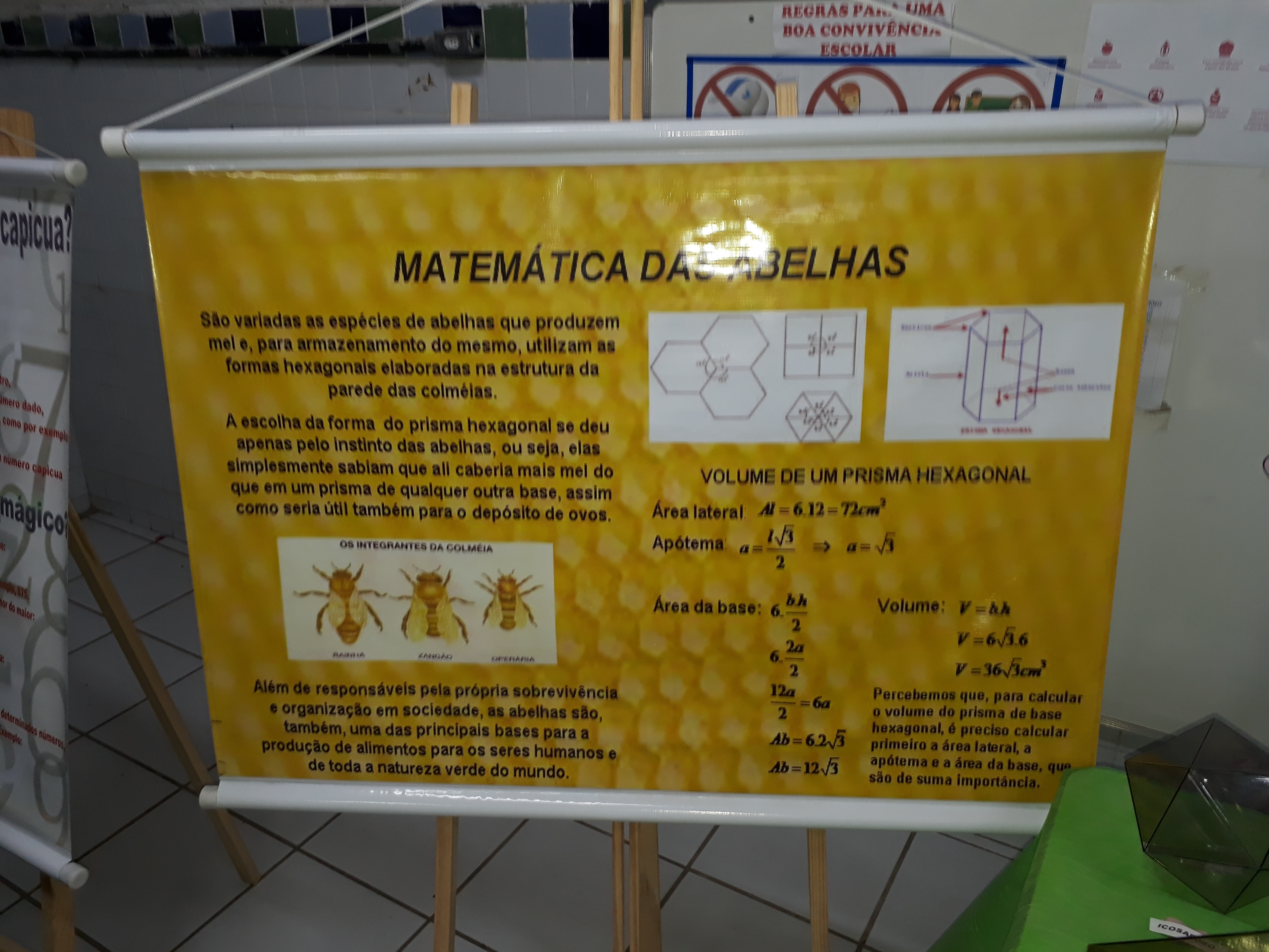 Exposição Matemática - Gildo Veríssimo