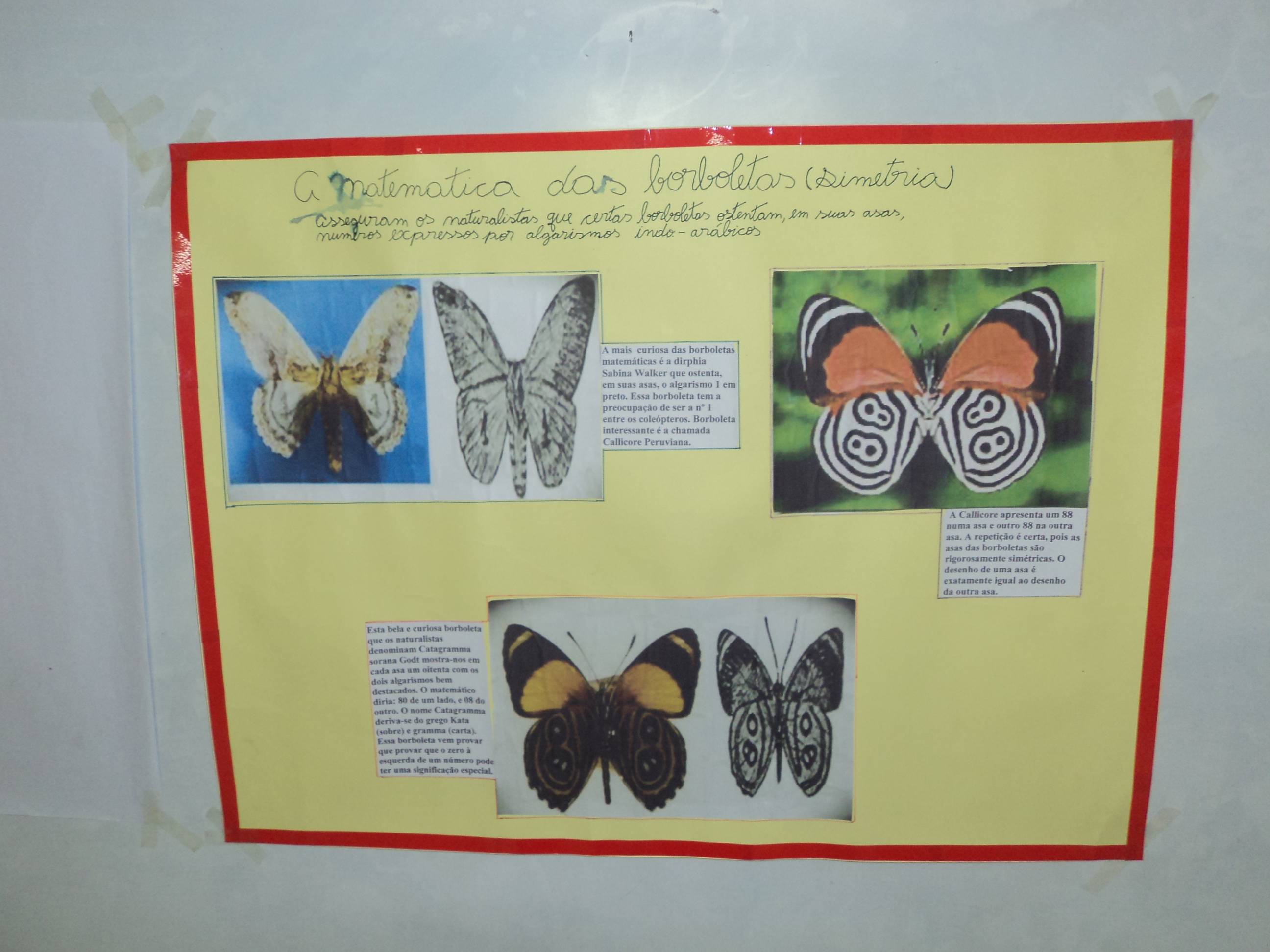 Feira de Matemática - Escola Freinet