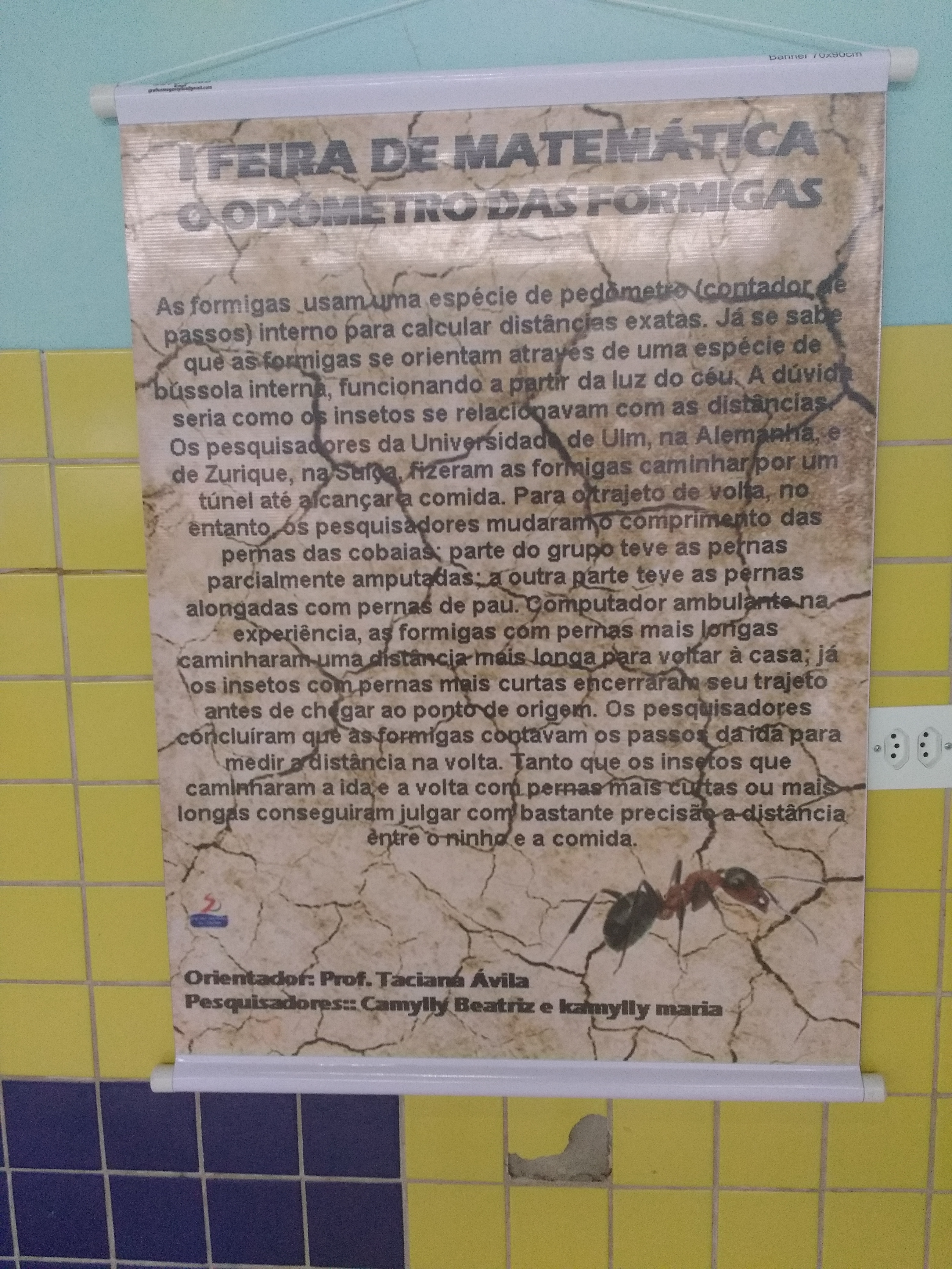 Feira de Matemática - Salesiana