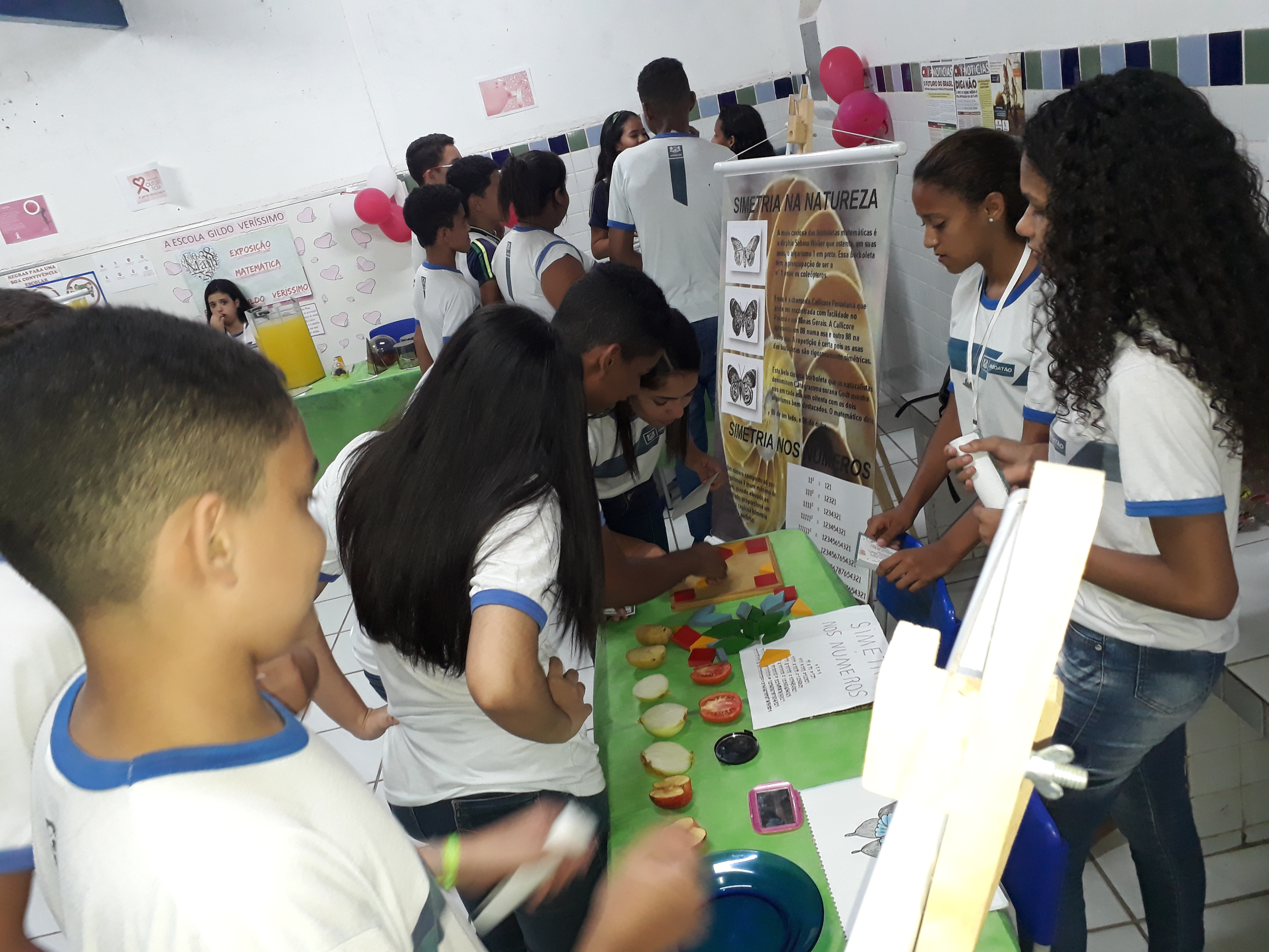Exposição Matemática - Gildo Veríssimo