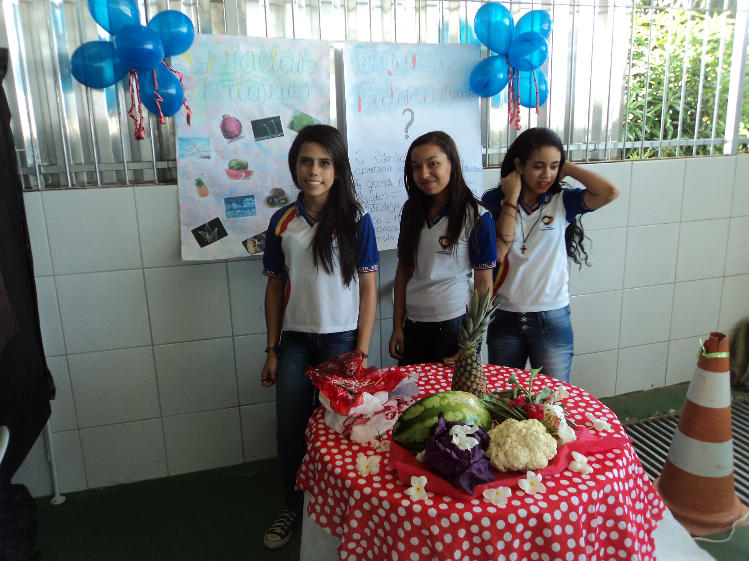 Projeto Fractais