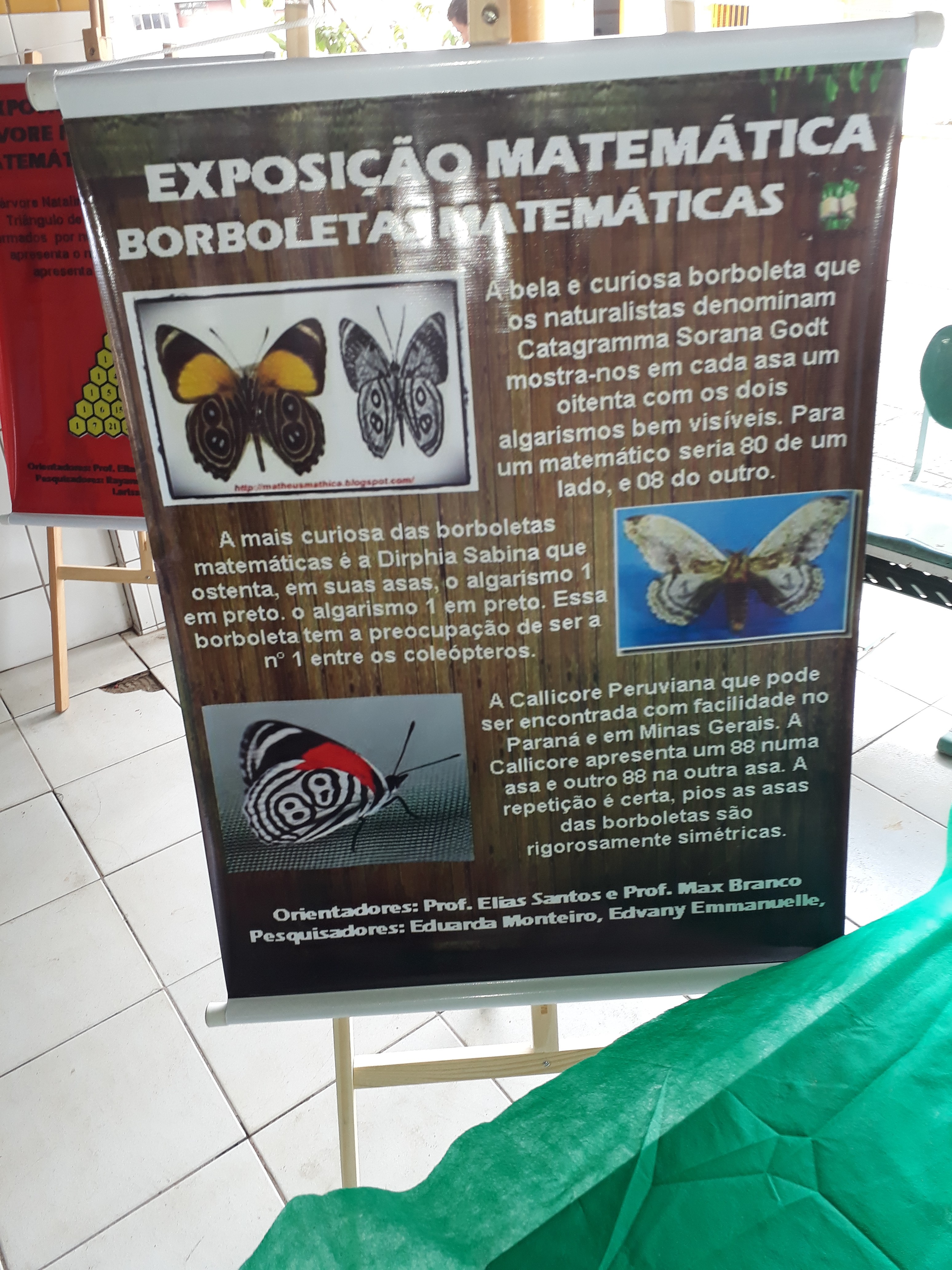 Exposição Matemática - Dr° João Lopes