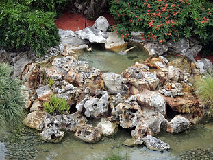 A beautiful garden with an unusual water feature flowers
