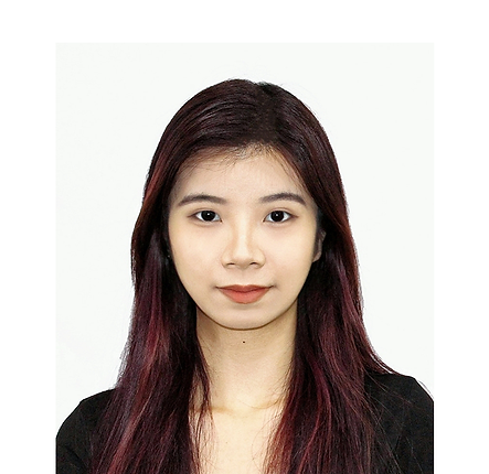 Tech Lead of Starview Enterprise