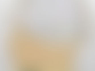 【みしゃむーそ】お題:私の頭の中