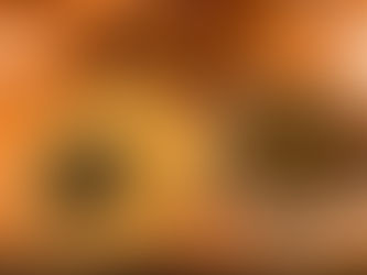 【コピティウス】お題：サイゼリヤで限界まで食べました