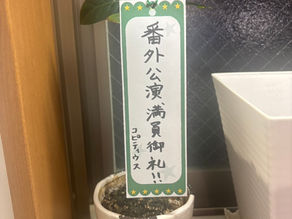 【コピティウス】お題:がっつり七夕
