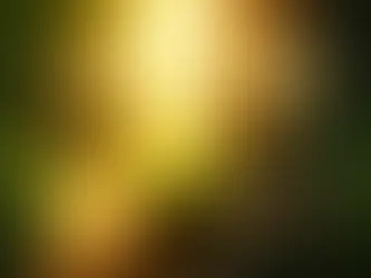 Stay Wise, Stay Safe: Proverbs 1-9