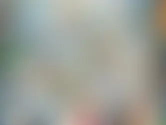 The Bible's Journey: From Ancient Writings to Living Word