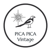 PICA PICA (2).png