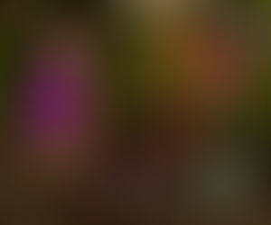 LiL Purple Leopard Diva