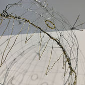 IMG_5759.jpeg