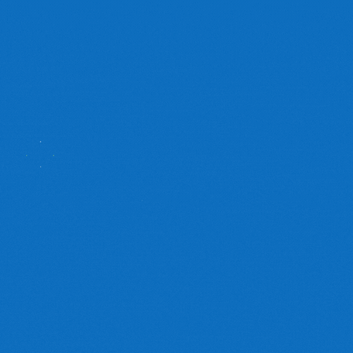 T.gif