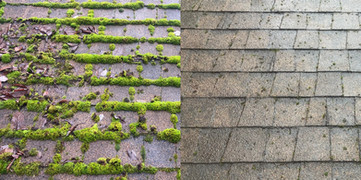 roofcleaning3.jpg