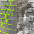 roofcleaning1.jpg