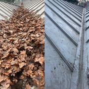 roofcleaning2.jpg