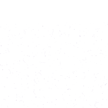 texture bio page.png