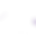 bio background.png