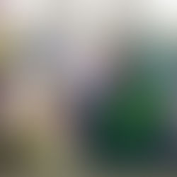 New Mural @ Guilmette Middle School