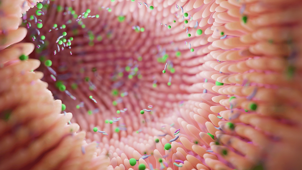 an image depicting a healthy gut microbiome through expert GI nutrition help