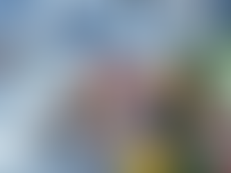 an image depicting a dietitian trying to create an HIV diet and nutrition plan