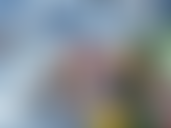 an image depicting a dietitian trying to create an HIV diet and nutrition plan