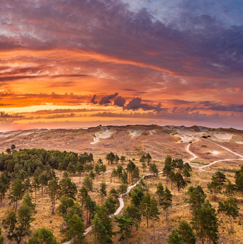 The Curonian Spit, dunes and purple sky