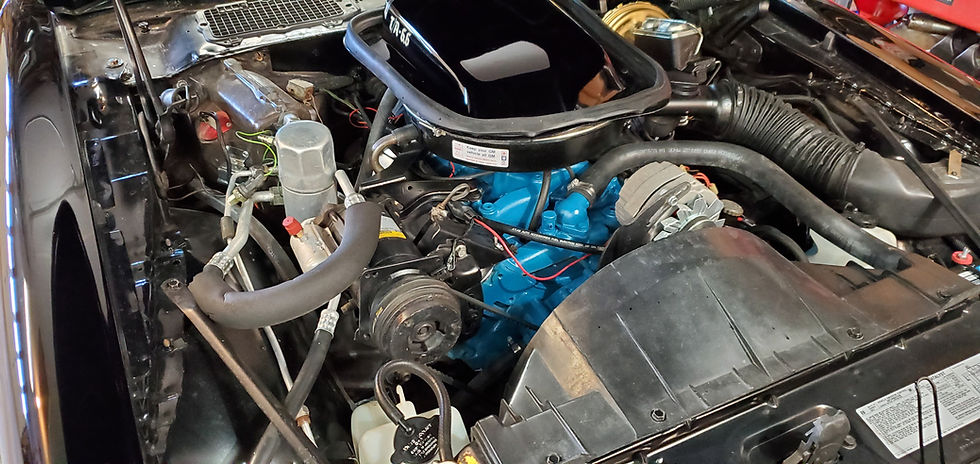 Thumbnail: 1978 Trans Am