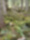 1755928000177.jpg