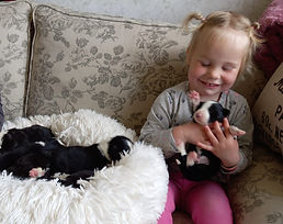 WhatsApp Image 2022-04-16 at 3.14.05 PM (1).jpeg