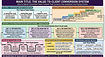 Creator Ecosystem Map (3).png
