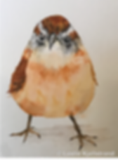 LRK-attitude.png