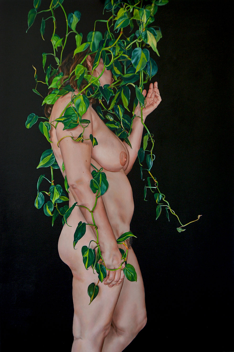 Ivy