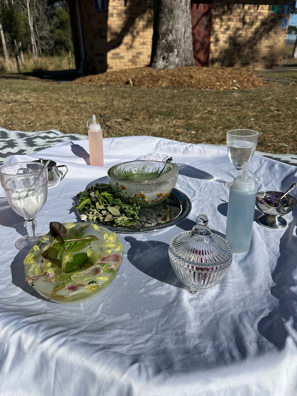 garden 3.jpeg