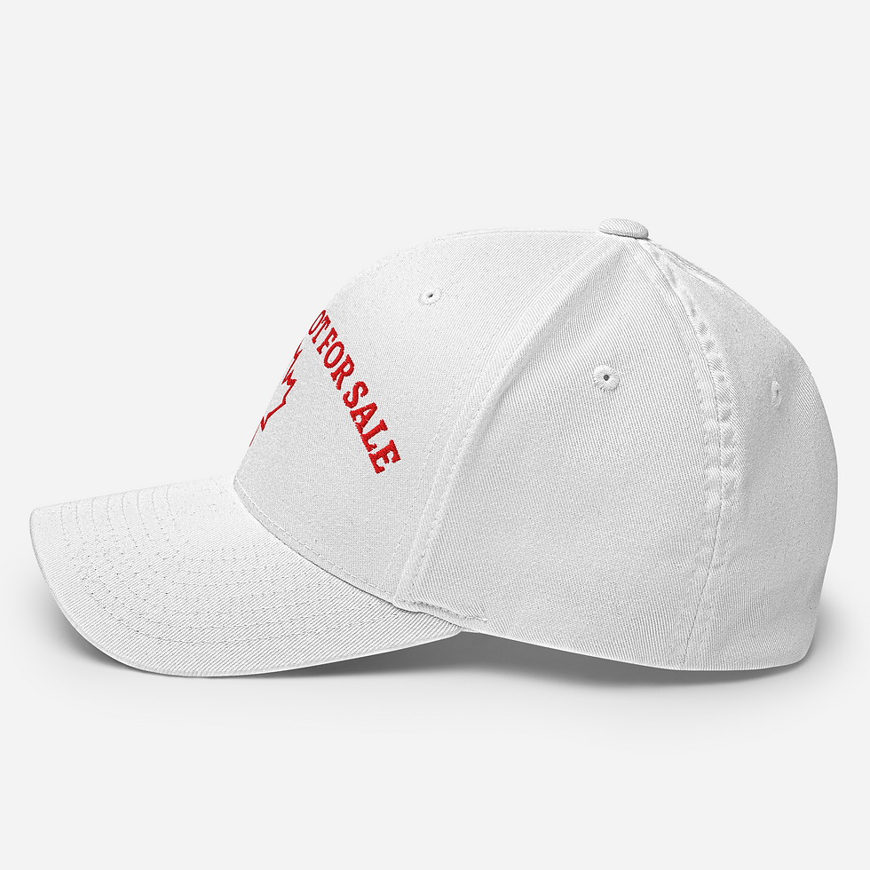 Thumbnail: Structured Twill Cap
