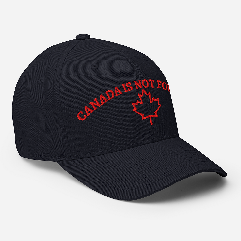 Thumbnail: Structured Twill Cap