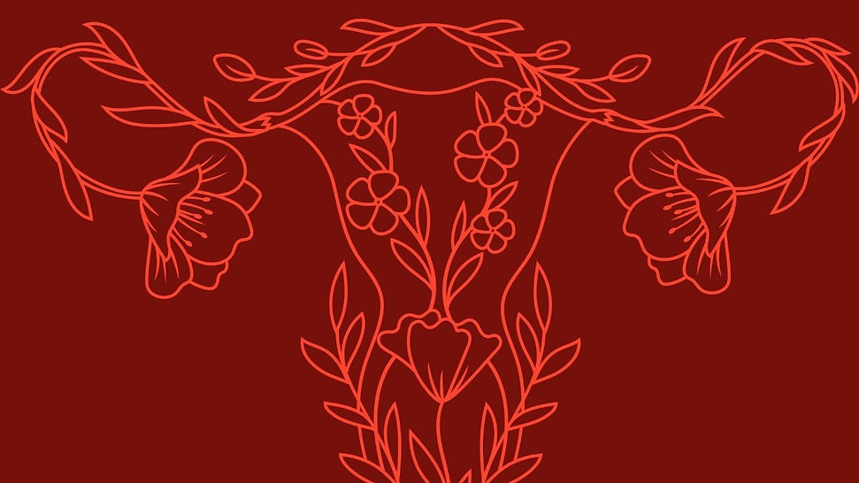 Diseño sin título (61).jpg