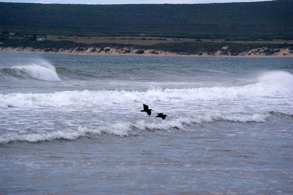 witsand3