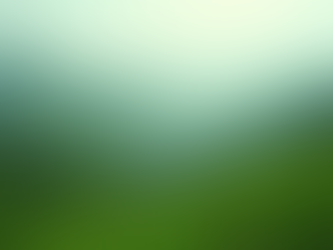 Protecting Nilgiris' Environment for Future Generations