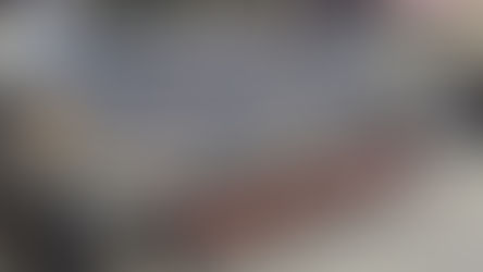 Panzer II “Luchs” - Weeks 28-52