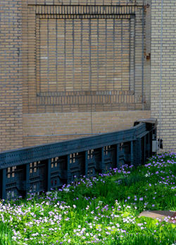 The High Line - 5