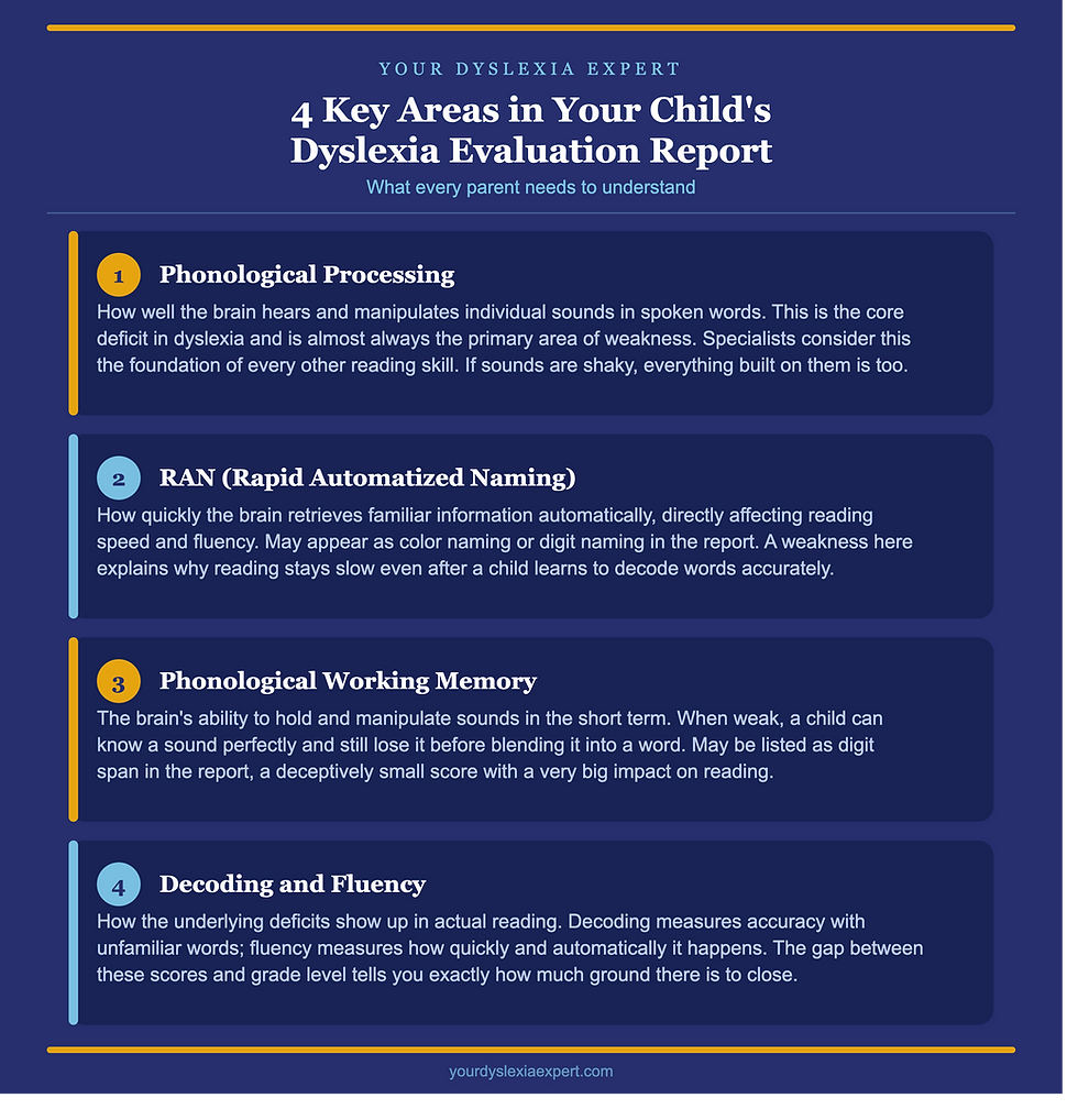 A graphic that outlines the information about the 4 areas to look for and understand on a psychoeducational evaluation. Summary of the information mentioned in the text.