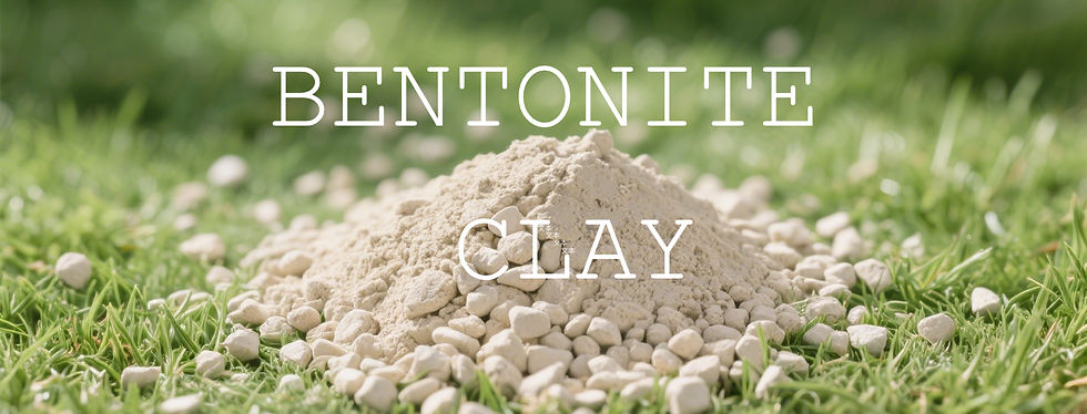 Bentonite Clay Commercial Picture_edited