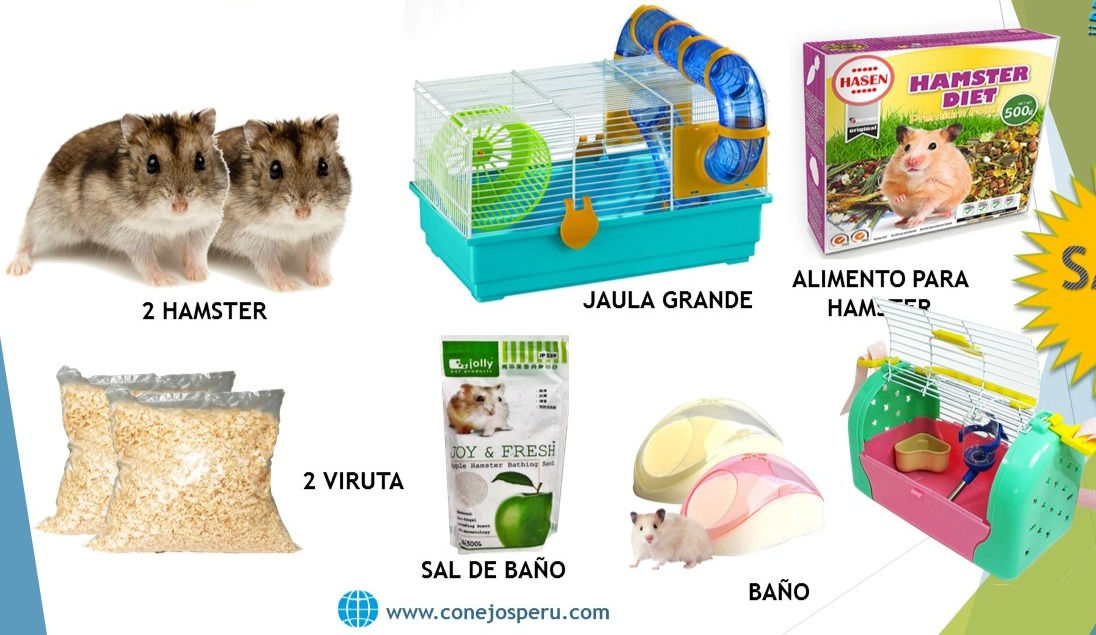 Hamster - Combos  #5