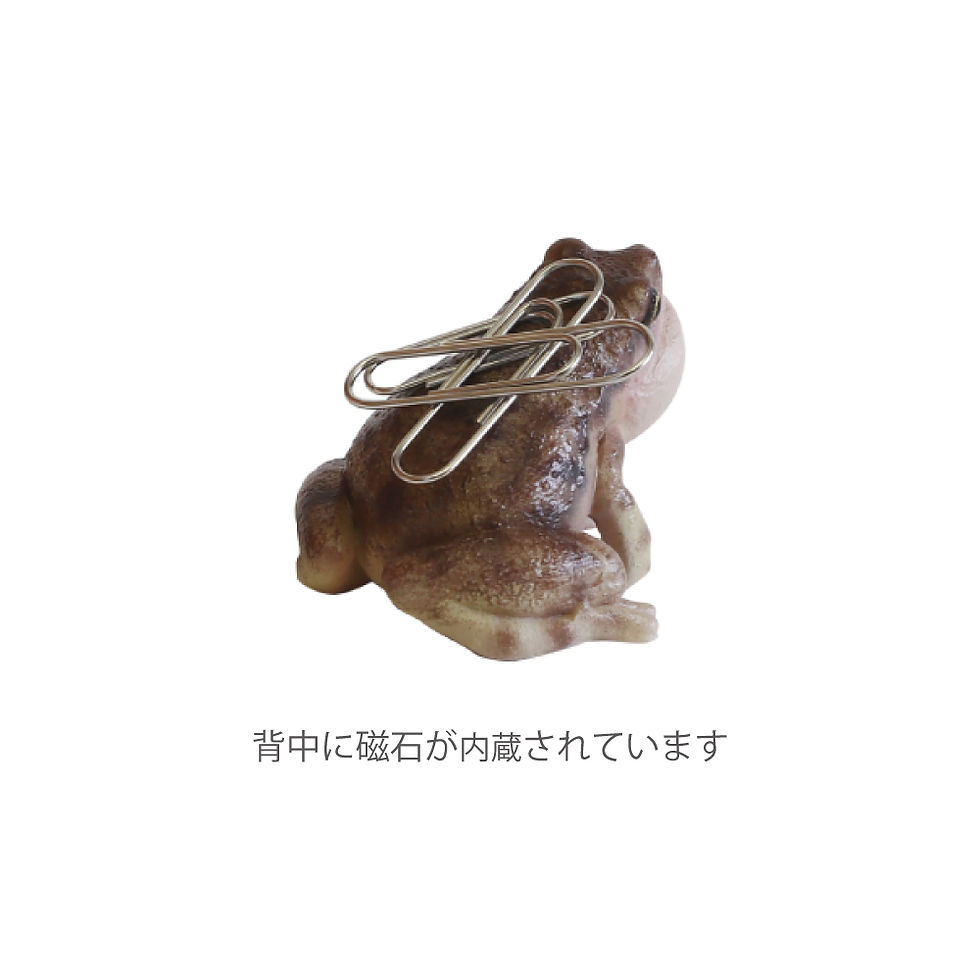 サムネイル： REPTILES MAG ORNATE NARROW MONTHED FROG