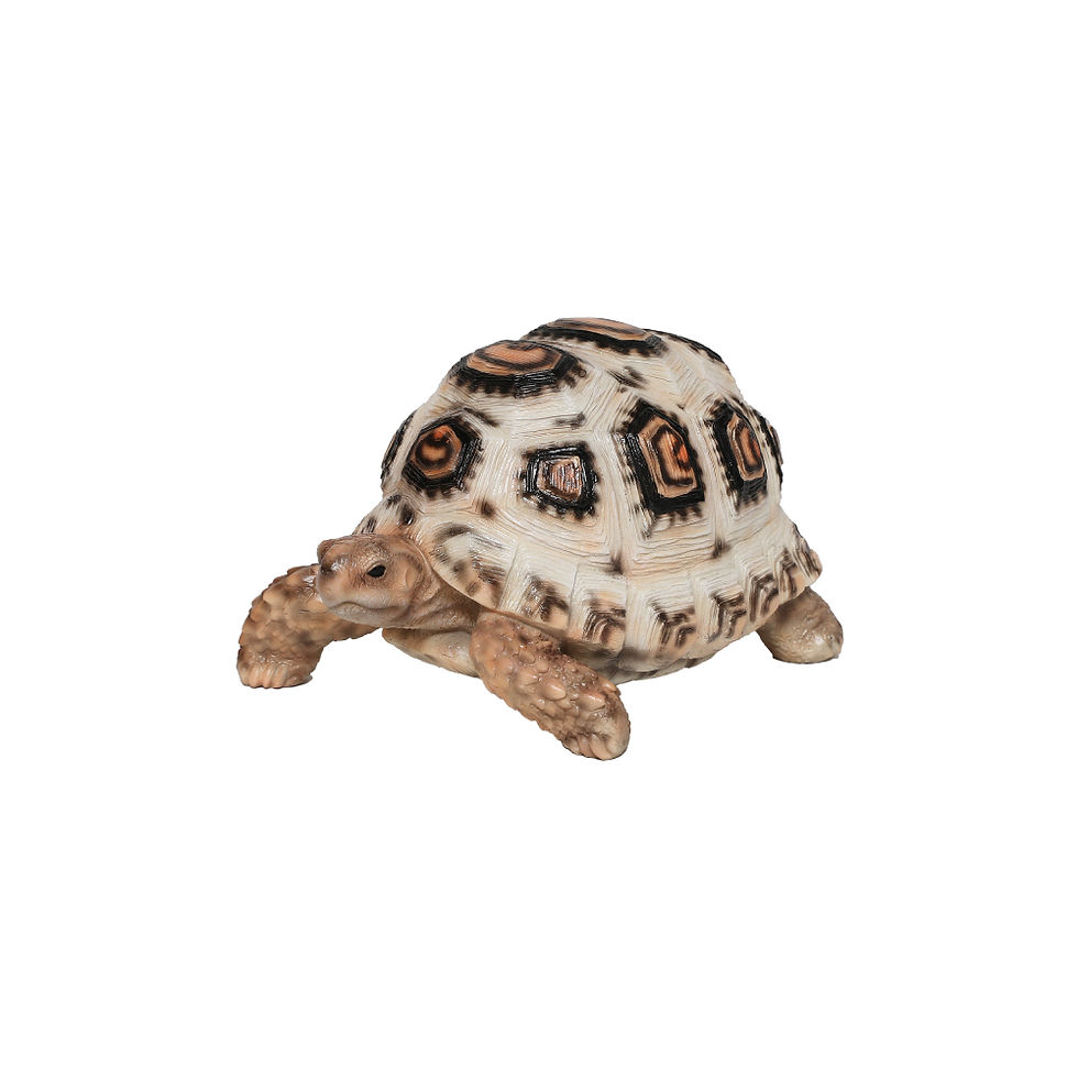 サムネイル： PET BANK TORTOISE