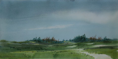 Sandy Neck, dunes, dune vegetation