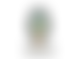 Introducing Your Life's Archive!