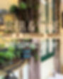 Image-1-3.jpeg