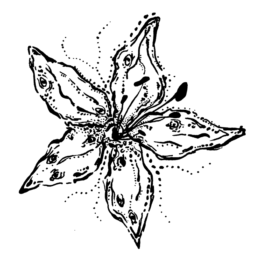 transflower.png